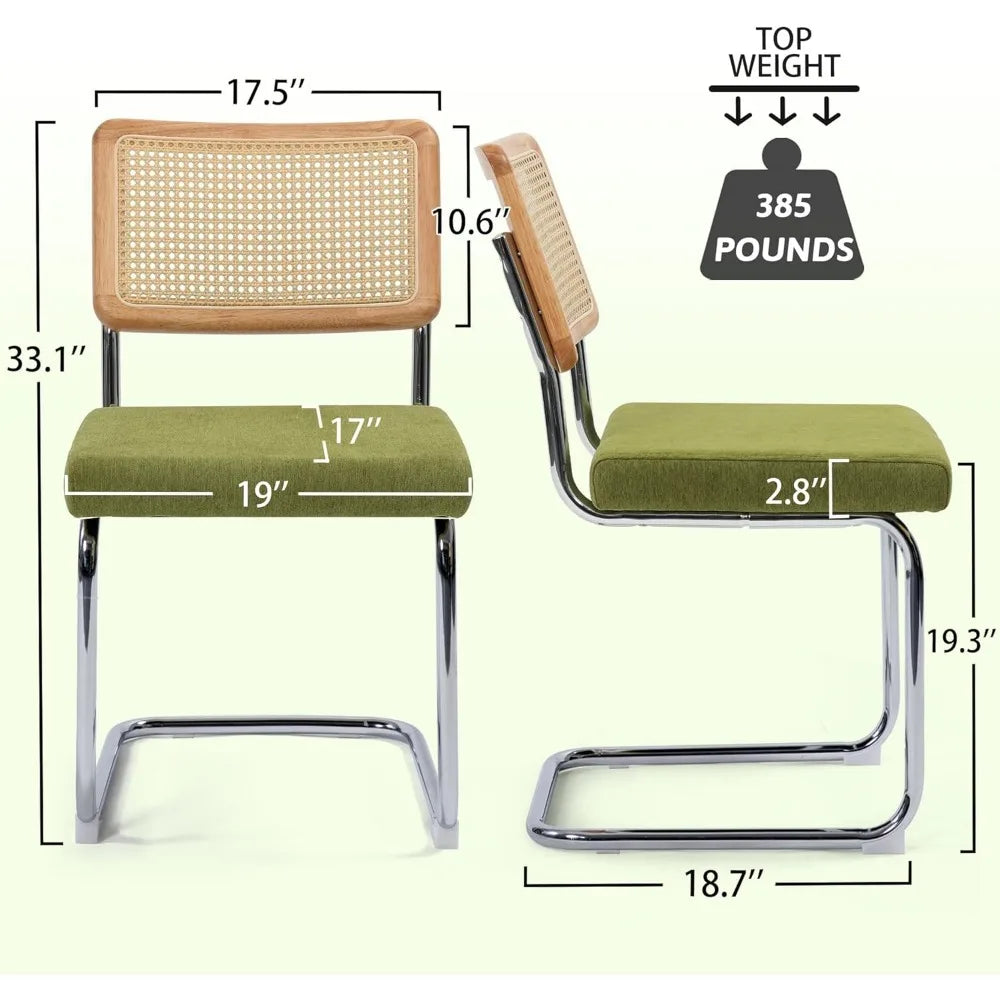 Dining Chairs Set Of 2 Modern Rattan Chrome Frame