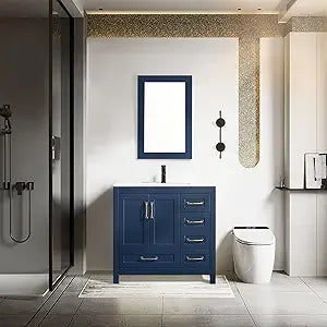 DAFIFY Bathroom Vanity With Undermount Sink One Door One Drawer